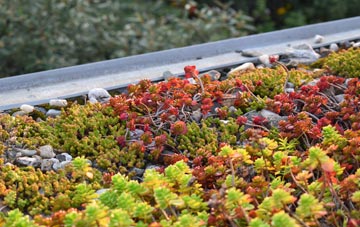 the cost of Athelstaneford green roof installation